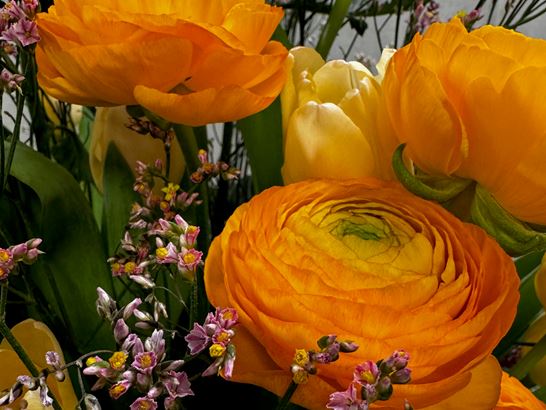 Bunter Blumenstrauss_Graziano Orsi Bunter Blumenstrauss_Graziano Orsi