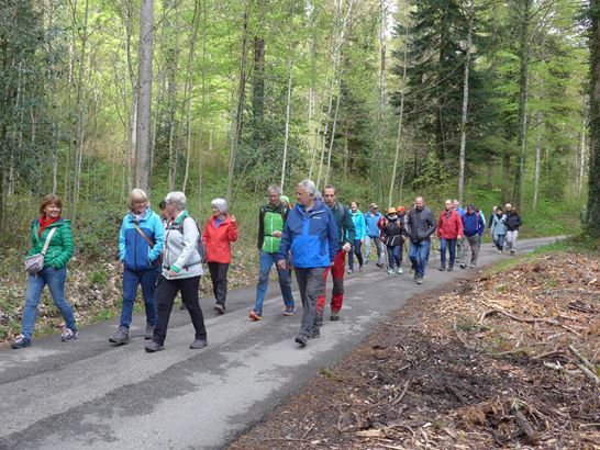 Angebot ZÄMEGOLAUFE Angebot ZÄMEGOLAUFE